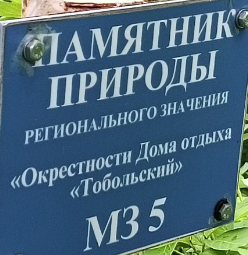 Ермаково поле 