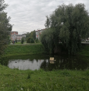 Сквер "Поганый прудок" 