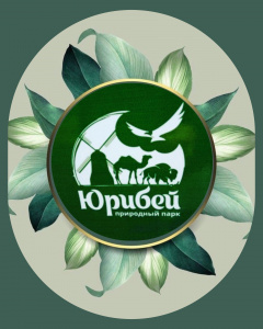 Юрибей
