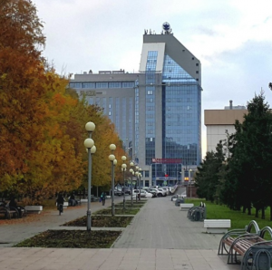 Яблоневая роща 
