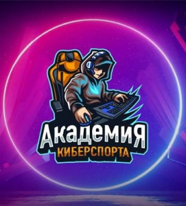 Академия киберспорта 