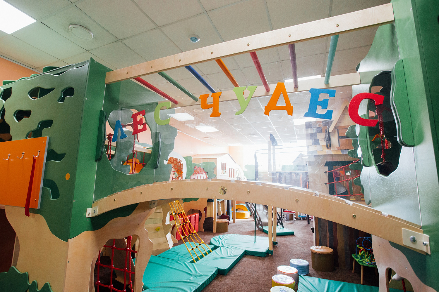 Лес чудес 